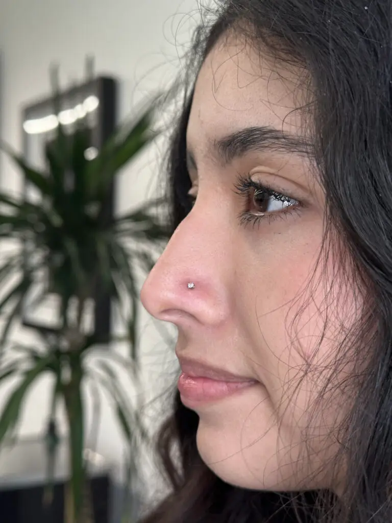 Body Piercing Thousand Oaks